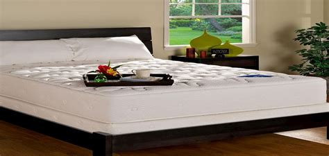 pranasleep latex mattress reviews.